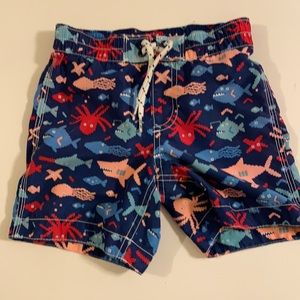 Swim trunks